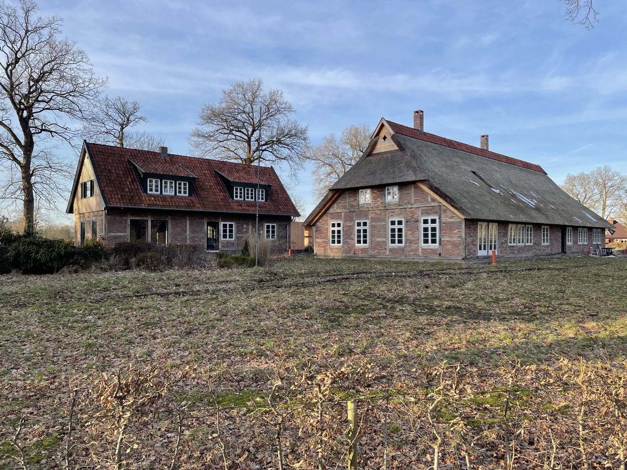 Aufnahmedatum 19.02.2026